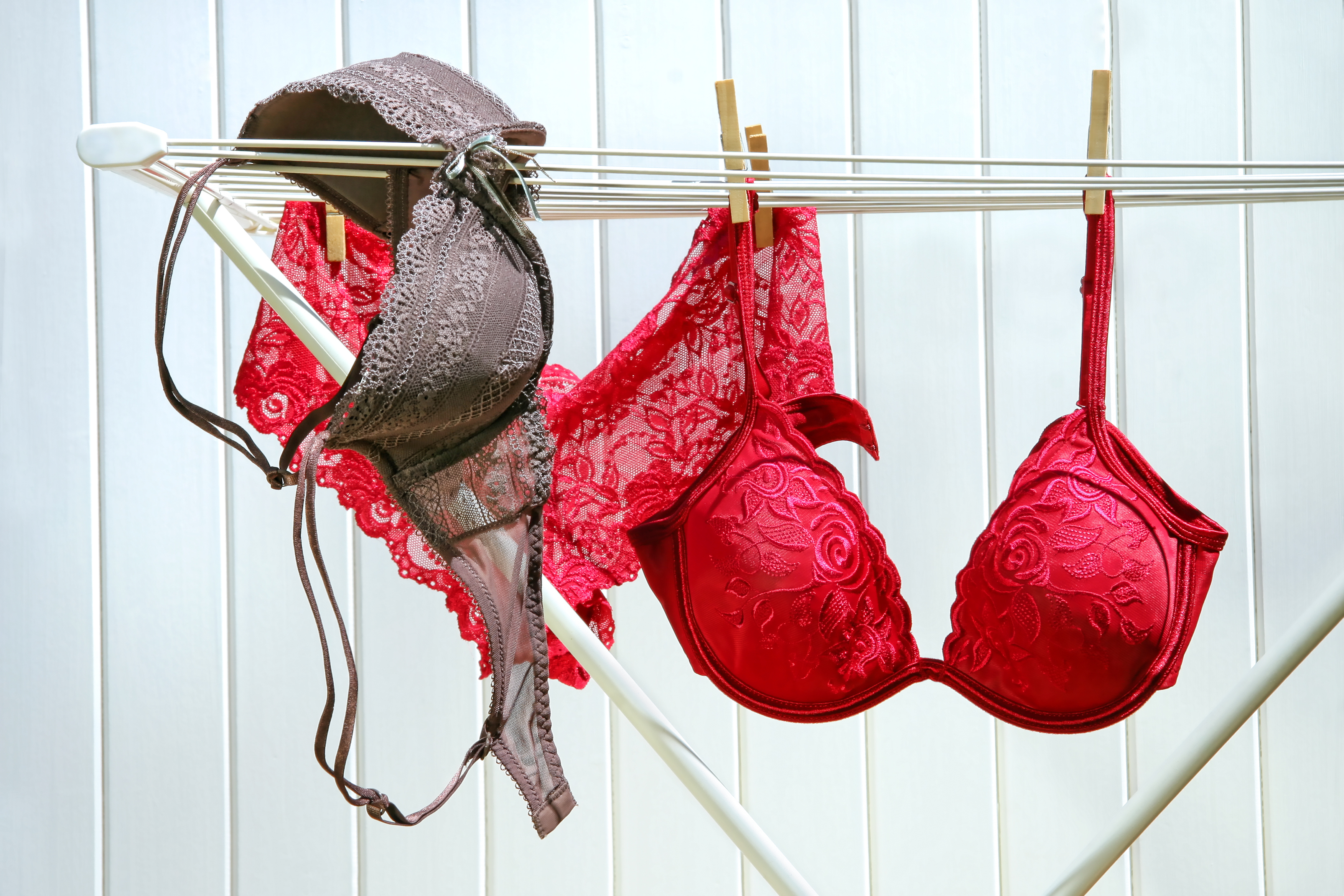 Porn girl in bras and underwear image