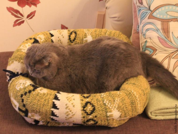 Как сделать лежанку для кошки своими руками (55 фото): лежак из старого свитера, на батарее