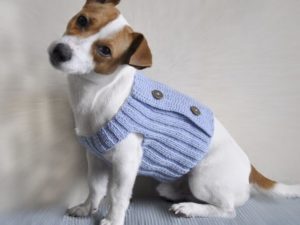 свитер для собаки крючком