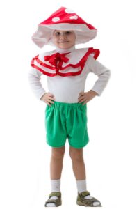 костюм гриба