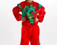костюм помидора для мальчика своими руками