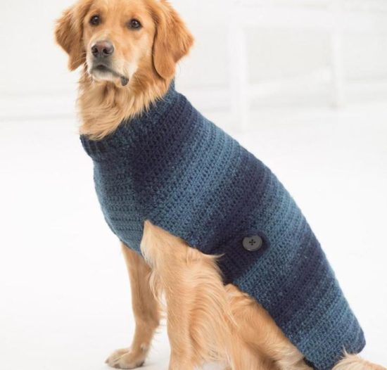свитер для собаки