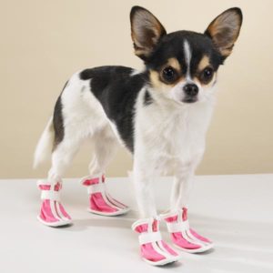 Обувь для собаки своими руками: шьем ботинки и сапожки