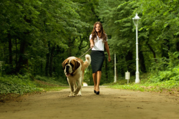 В чём ходить на прогулку с собакой, чтобы было модно, но удобно